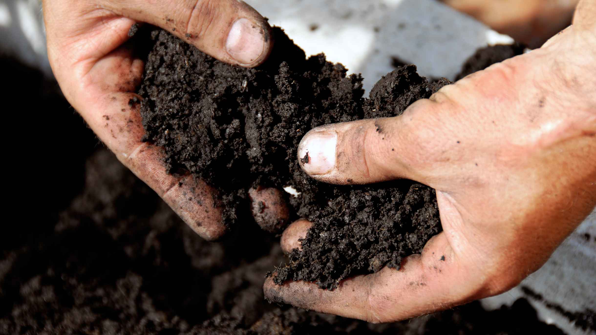 Żyzna, urodzajna gleba to gleba o uregulowanym odczynie.