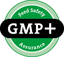 gmp