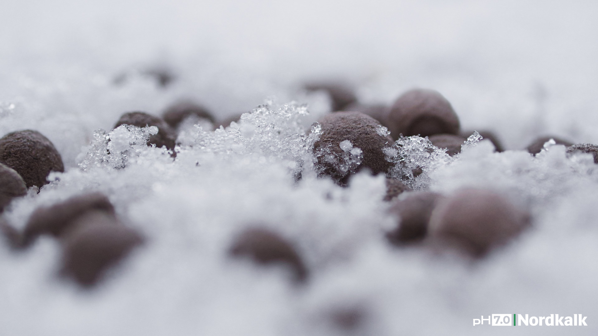 wapno w śniegu